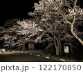 弘法桜のライトアップ 122170850