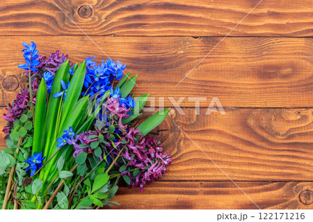 Bouquet of purple corydalis flowers and blue scilla flowers on wooden background 122171216