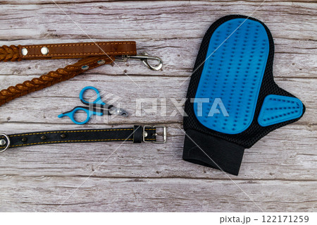 Dog accessories on wood background. Blue rubber grooming glove, claw clipper, brown leather leash and spiked collar for dog on wooden background. Top view. Pet care concept Dog accessories on wood background. Blue rubber grooming glove, claw clipper, brown leather leash and spiked collar for dog on wooden background. Top view. Pet care concept 122171259