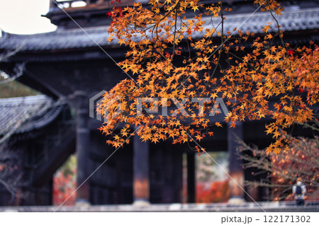 京都 南禅寺 水路閣 紅葉；Suiro-kaku, Nanzen-ji, Kyoto 122171302