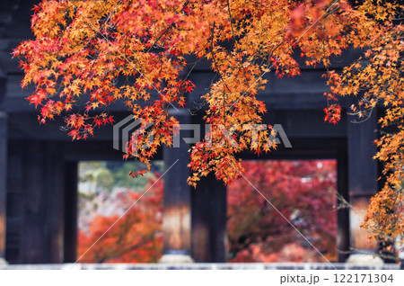 京都 南禅寺 水路閣 紅葉;Suiro-kaku, Nanzen-ji, Kyoto 京都 南禅寺 水路閣 紅葉;Suiro-kaku, Nanzen-ji, Kyoto 122171304