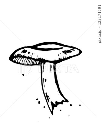 mushroom vector skatch on white background 122171591