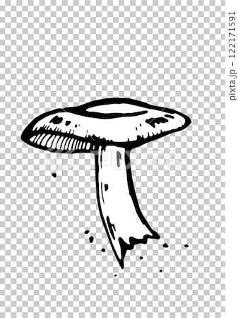 mushroom vector skatch on white background 122171591