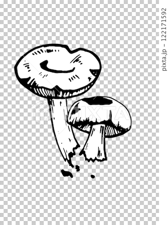 mushroom vector skatch on white background 122171592