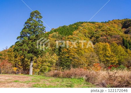 せせらぎ街道の紅葉《岐阜県　高山市　清見町》 122172046