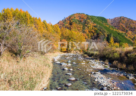 せせらぎ街道（楢谷橋・馬瀬川）の紅葉《岐阜県高山市清見町》 122173034