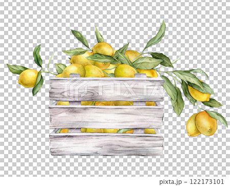 Wooden crate with fresh lemons. Farmer's market, healthy eating or tropical fruits theme with Citrus branches. Hand drawn watercolor illustration isolated on white background. 122173101