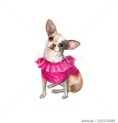Chihuahua. Pink Portrait small dog. Watercolor hand drawn illustration Chihuahua. Pink Portrait small dog. Watercolor hand drawn illustration 122173289