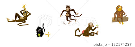 Different Monkey Animal with Long Tail Vector Set 122174257
