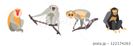 Different Monkey Animal with Long Tail Vector Set 122174263