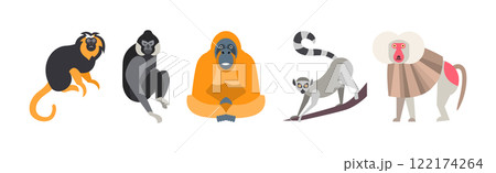 Different Monkey Animal with Long Tail Vector Set 122174264