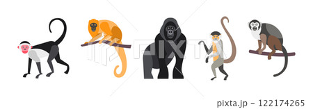 Different Monkey Animal with Long Tail Vector Set 122174265