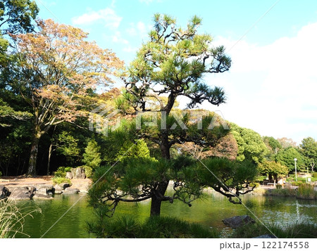 和風庭園と池の松 122174558