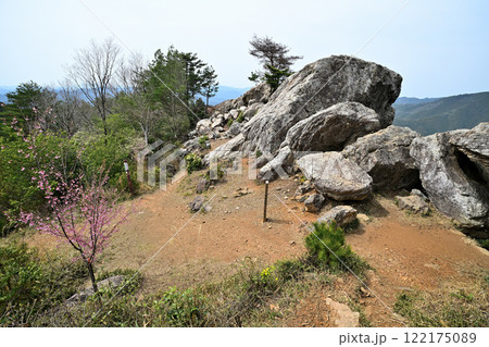明智光秀による築城された 丹波「金山城」麓から本丸の様子 明智光秀による築城された 丹波「金山城」麓から本丸の様子 122175089