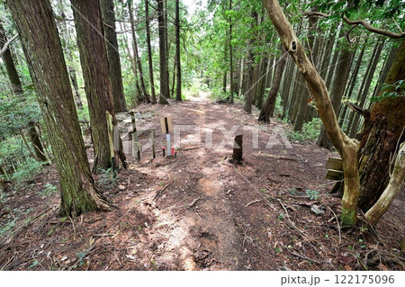 明智光秀による築城された 丹波「金山城」麓から本丸の様子 明智光秀による築城された 丹波「金山城」麓から本丸の様子 122175096