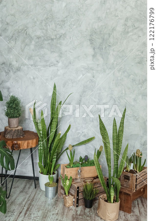 A fragment of the interior with a variety of indoor plants and plaster sculptures. Urban jungle concept. Biophilia design. 122176799