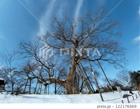 福島県会津若松市高瀬の大ケヤキ 122176869