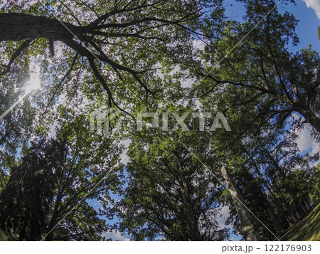 Cincinnati Finneytown historical cemetery Graveyard 122176903