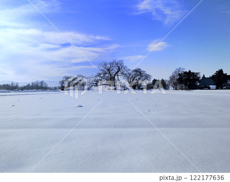 福島県会津若松市高瀬の大ケヤキ 122177636