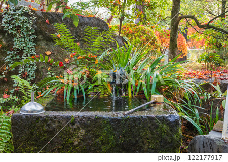 【武田神社】姫の井戸のお水【躑躅ヶ崎館跡】 122177917