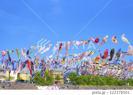 青空と鯉のぼり 青空と鯉のぼり 122178501