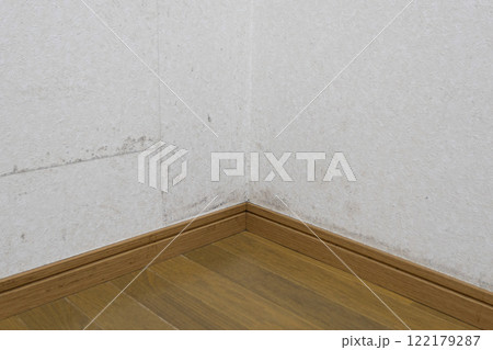 フローリングの洋間の角の壁紙の黒かび 122179287