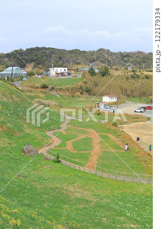 静岡県伊豆「下田爪木崎水仙まつり」 静岡県伊豆「下田爪木崎水仙まつり」 122179334