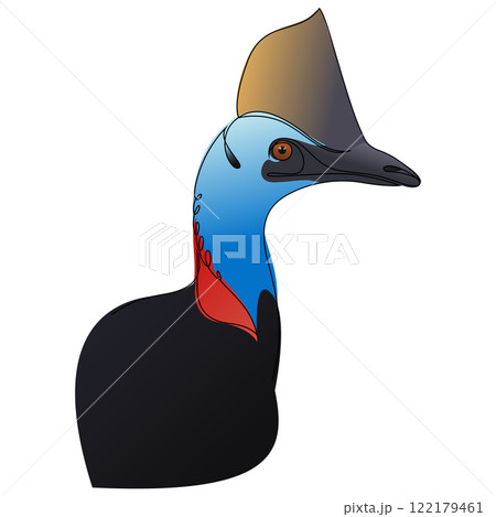 Cassowary head color vector illustration. Big Australian bird isolated on white background. Cassowary head color vector illustration. Big Australian bird isolated on white background. 122179461
