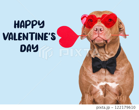 Happy Valentine's Day. Lovable dog and congratulatory inscription 122179610