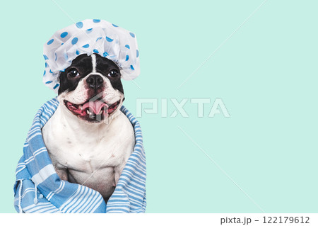 Cute puppy, shower cap and blue towel 122179612