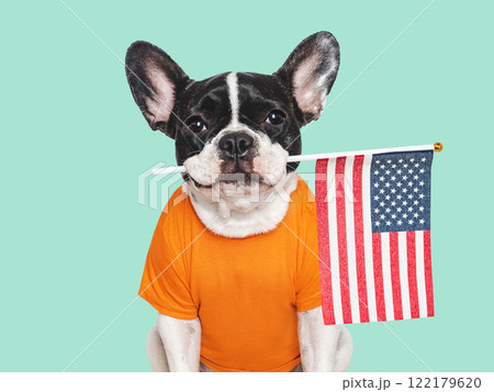 Charming puppy and American Flag. Studio shot Charming puppy and American Flag. Studio shot 122179620