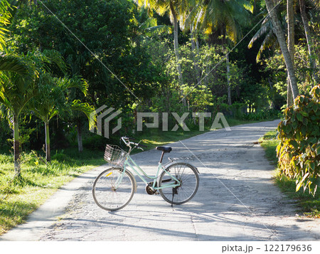 Vintage bicycle against palm trees background. No people 122179636