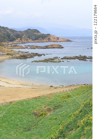 静岡県伊豆「下田爪木崎水仙まつり」 静岡県伊豆「下田爪木崎水仙まつり」 122179664