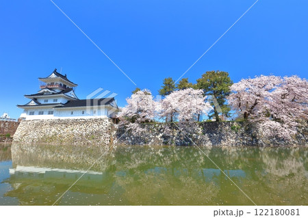 【富山県】快晴の富山城天守閣と満開の桜 【富山県】快晴の富山城天守閣と満開の桜 122180081