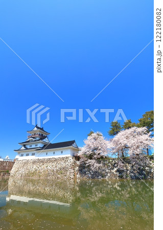 【富山県】快晴の富山城天守閣と満開の桜 122180082
