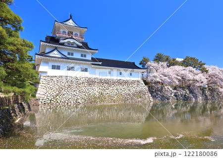【富山県】快晴の富山城天守閣と満開の桜 122180086
