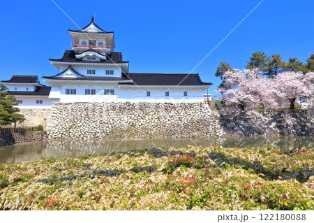 【富山県】快晴の富山城天守閣と満開の桜 122180088