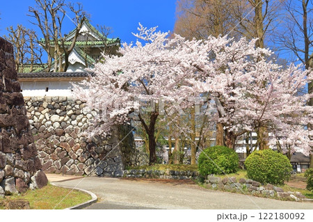 【富山県】快晴の富山市佐藤記念美術館と満開の桜 122180092