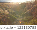 夕日に照らされるススキ 122180783