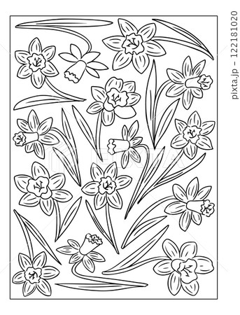 Line art illustration of daffodils for coloring 122181020