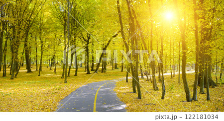 Autumn park and fallen leaves illuminated sun 122181034