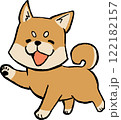 柴犬歩行1 122182157