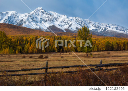 Snowcapped mountain with autumn forest and wooden fence under cloudy sky 122182493