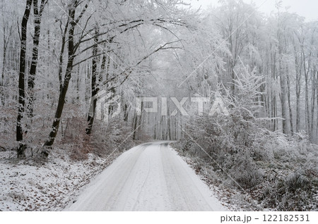 Winter landscape - frosty trees in the forest. Nature covered with snow. Beautiful seasonal natural background. 122182531