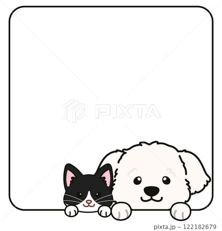 四角フレームから出てくるシンプルで可愛いマルチーズとハチワレ猫 122182679