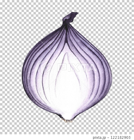 Onions in the cut. Hand-drawn watercolor illustration. An image of a purple vegetable. Highlighted from the background. Perfect for menus, recipe books, packages, labels, and more. 122182903