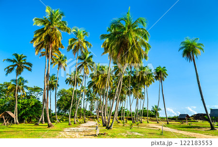 Tropical Park at Buzare Point in Cayenne - French Guiana, South America 122183553