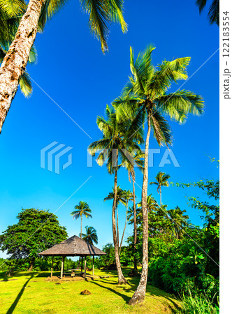 Palm trees at Buzare Point in Cayenne - French Guiana, South America 122183554