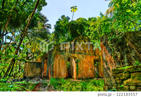 Remains of notorious penal colony in Saint Joseph Island, Salvation Islands, French Guiana, South America Remains of notorious penal colony in Saint Joseph Island, Salvation Islands, French Guiana, South America 122183557