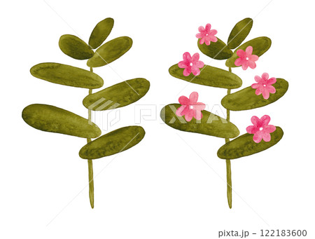 Watercolor plants. Green flowering tropical plants. Succulents in the desert. Summer and flowering plants. Cartoon style illustration 122183600